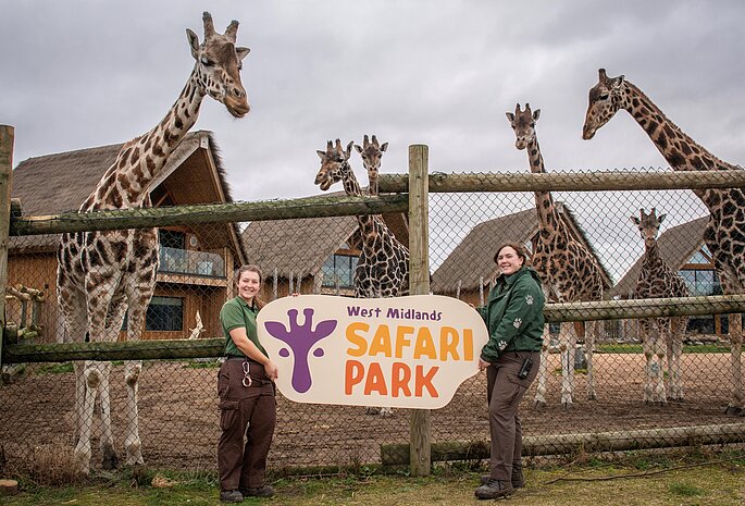 west midlands safari park best time to visit